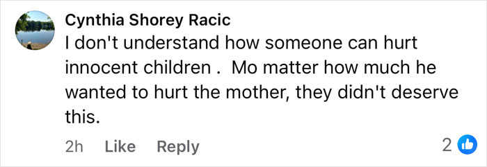 Comment expressing confusion and sorrow over the tragic cause of passing for 3 sisters after planned visitation with dad.