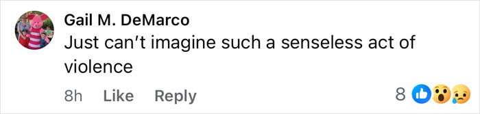 Comment by Gail M. DeMarco expressing disbelief over a senseless act of violence related to tragic cause of passing for 3 sisters.