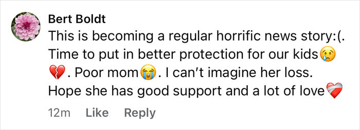 Social media comment expressing grief and concern over tragic cause of passing for 3 sisters after planned visitation with dad.