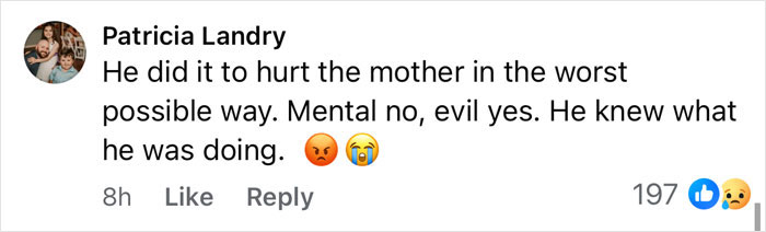 Screenshot of a social media comment reacting to the tragic cause of passing for 3 sisters after planned visitation with their dad.