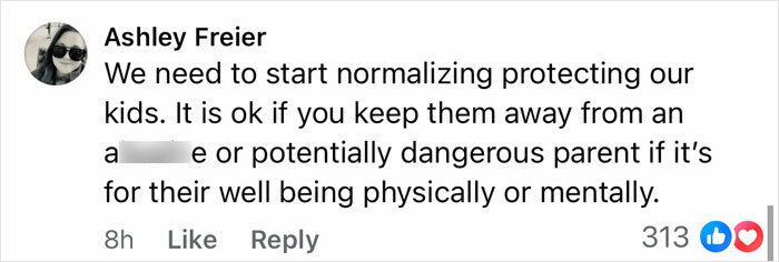 Comment from Ashley Freier emphasizing the need to protect kids from dangerous parents for their physical and mental well-being.