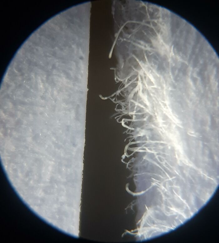 Close-up comparison pic showing smooth fabric edge versus frayed yarn fibers under a microscope highlighting variety detail.