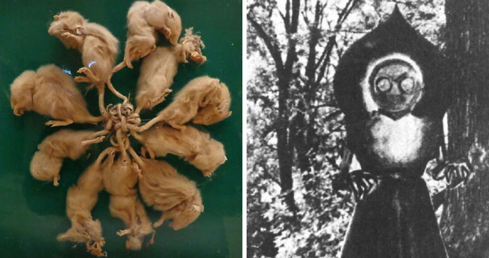 40 Wikipedia Articles That Prove Real Life Is Way More Terrifying Than Movies