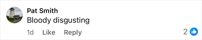 Facebook comment by Pat Smith saying Bloody disgusting, showing 2 likes related to teen who slammed teacher incident.