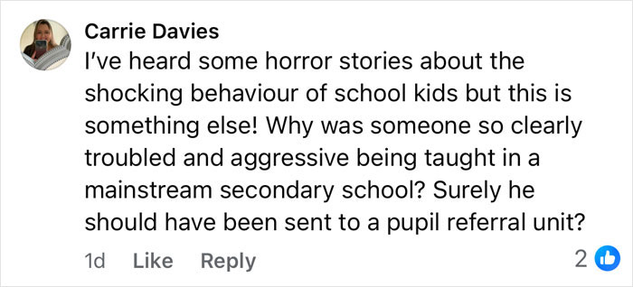 Comment by Carrie Davies expressing concern over aggressive behavior of a teen who brutally slammed teacher head-first into concrete.