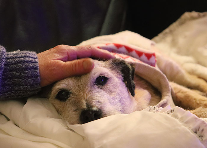 Woman Leaves SIL&rsquo;s Home When She Realizes She&rsquo;s Not Getting Any Compassion, Gets Told Off