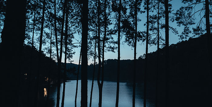 Silhouetted tall trees by a calm lake at dusk illustrating kids' lies that started silly and got way too real.