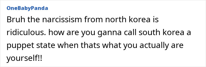 Text comment criticizing North Korea&rsquo;s control and calling it narcissistic while comparing it to South Korea control claims.