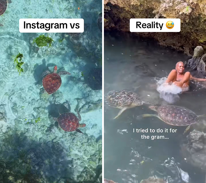Side-by-side travel moment showing Instagram vs reality with turtles and a person in water during a trip