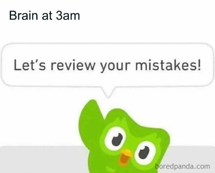 Green cartoon owl at 3am saying let’s review your mistakes in a meme for intellectuals chuckling at memes