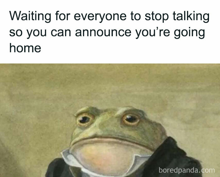 Frog dressed in formal clothes waiting silently, a humorous meme popular among intellectuals on social media.