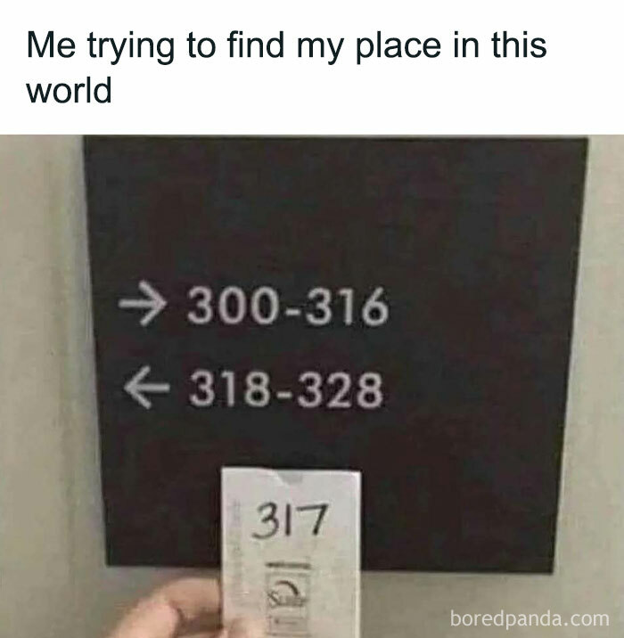 Person holding a ticket with number 317, confused by signs pointing to ranges 300-316 and 318-328, intellectual memes humor.