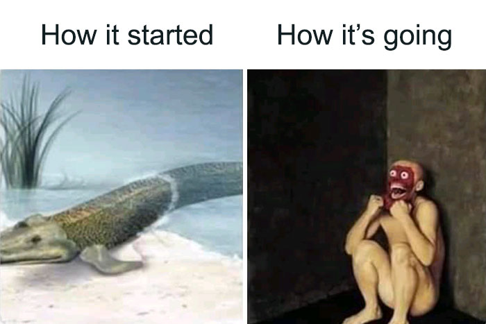Side-by-side meme showing an early crocodile and a crouching figure with a red mask, intellectuals meme humor.
