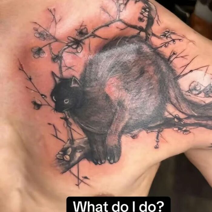 Tattoo of a black cat on a branch covering a large portion of a person's chest, showcasing bizarre tattoo choices.