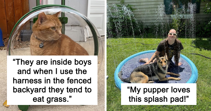 Treat Your Furry Overlord: 20 Summer Essentials They’ll Thank You For (Probably With Licks)