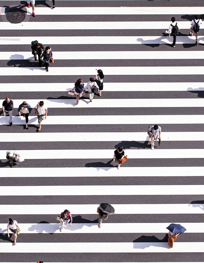 People walking across a large zebra crosswalk in the Japanese walking trend promoting better health than 10000 steps a day People walking across a large zebra crosswalk in the Japanese walking trend promoting better health than 10000 steps a day