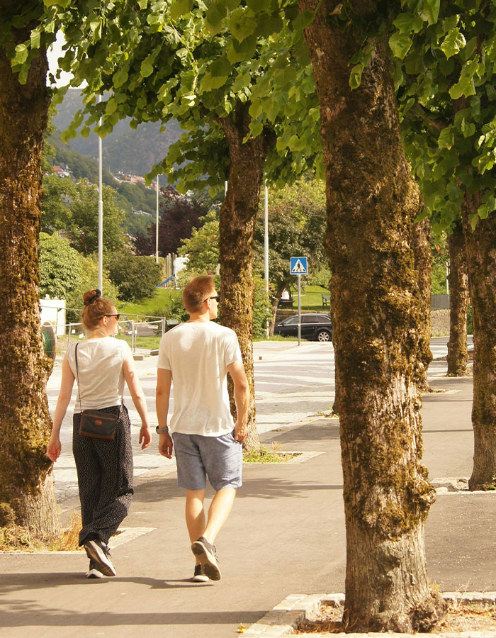 A man and woman walking on a tree-lined path, illustrating the Japanese walking trend as a healthy daily activity. A man and woman walking on a tree-lined path, illustrating the Japanese walking trend as a healthy daily activity.
