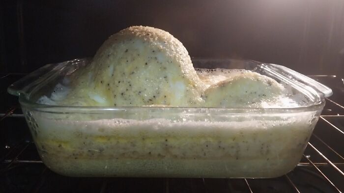 Foamy, bubbling food in a glass baking dish inside an oven showing a disgusting food pic that might ruin appetite