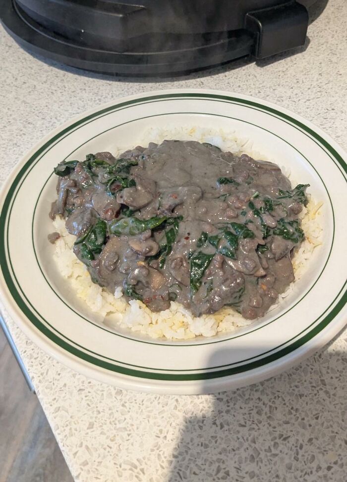 Plate of grayish creamy food with spinach over white rice, an example of disgusting food pics that might ruin appetite.