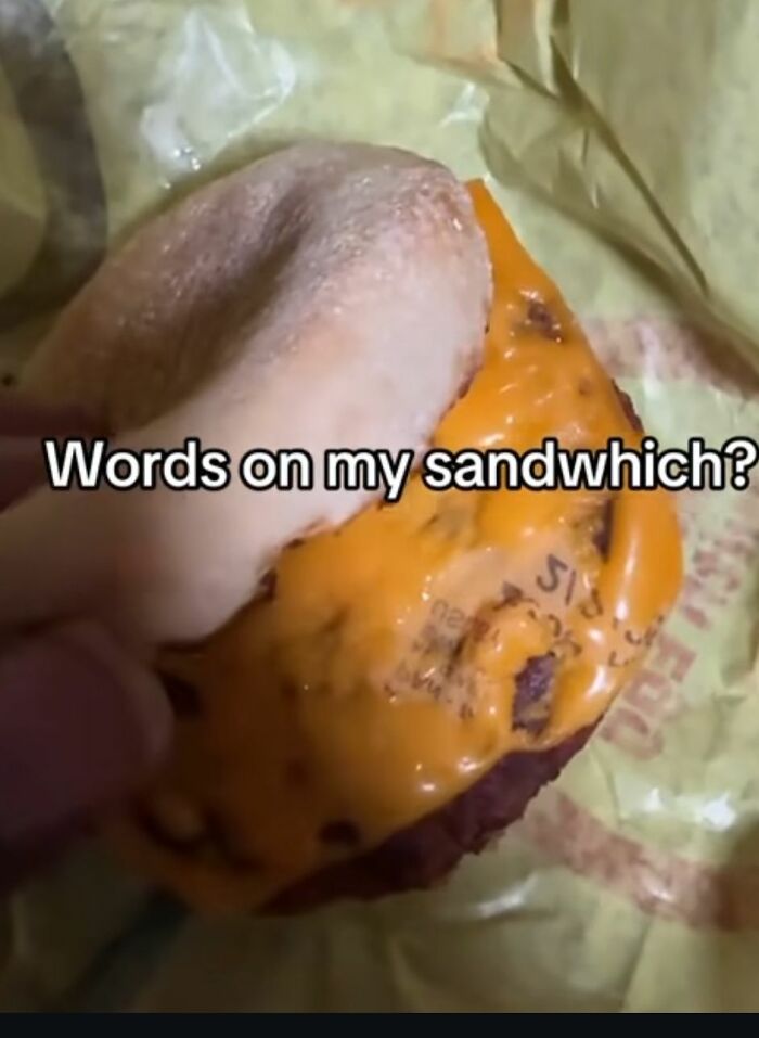 Moldy sandwich with visible text on the cheese, showing a disgusting food pic that might ruin your appetite.