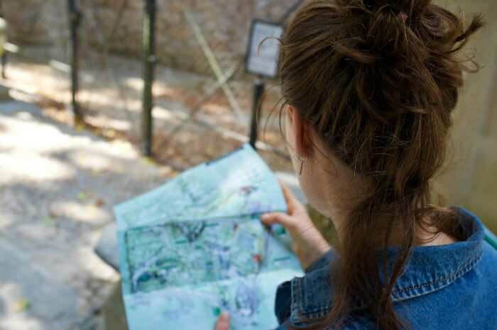 Woman over 42 with messy bun sitting outdoors, holding and studying a folded map on a sunny day.