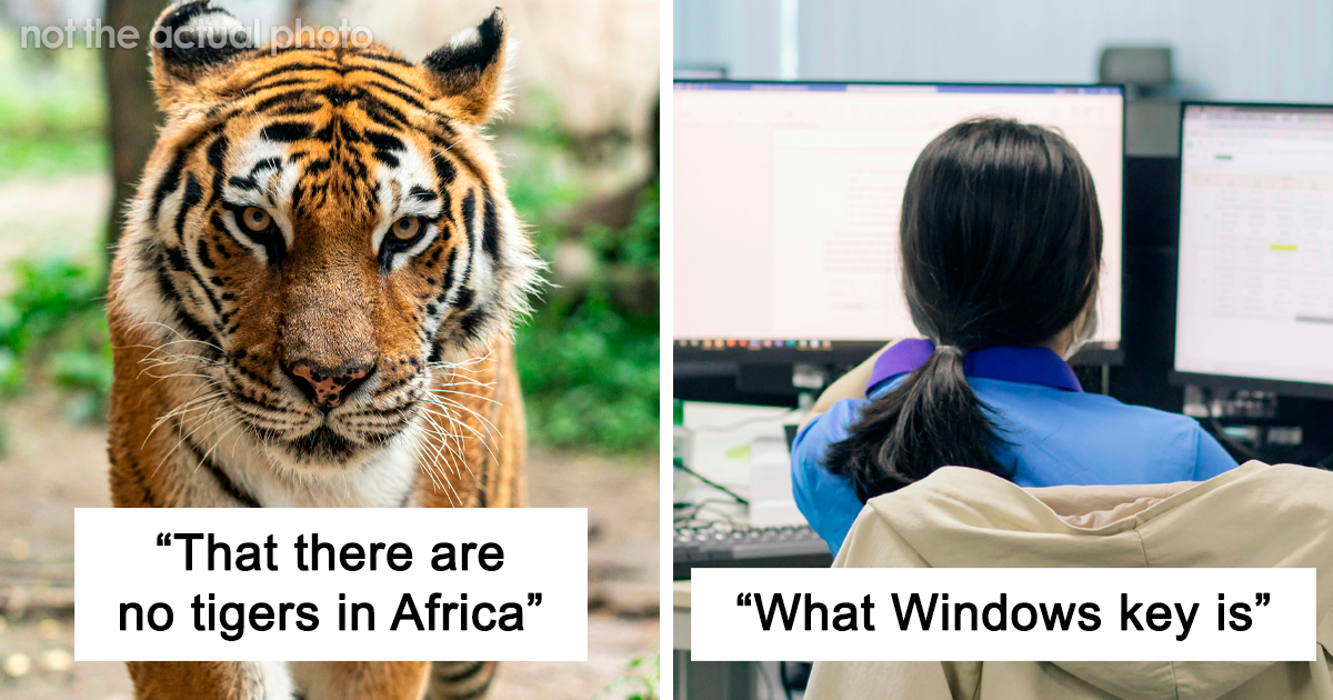 48 Everyday Facts That People Realized Not Everyone Knows