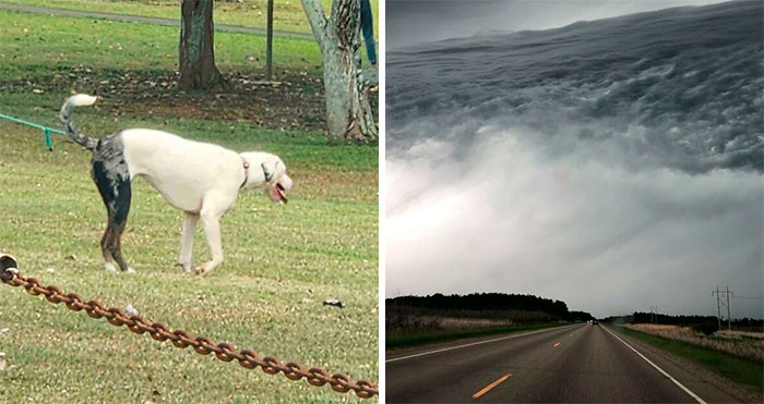 50 Times Things Looked Like Other Things And People Had To Share (New Pics)