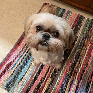 lorrainehudgins avatar