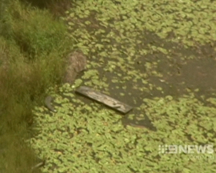 Three Men Who Brutalized Two Victims And Left Them In Toolbox Receive 30-Year Prison Terms