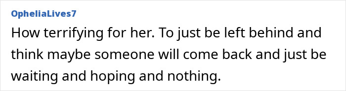 Comment expressing sympathy for tourist abandoned in active volcano, highlighting growing outrage and viral final post reactions.