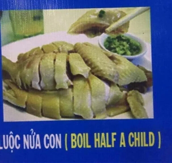 Chopped cooked chicken with a bowl of green dip showing a funny English translation attempt.