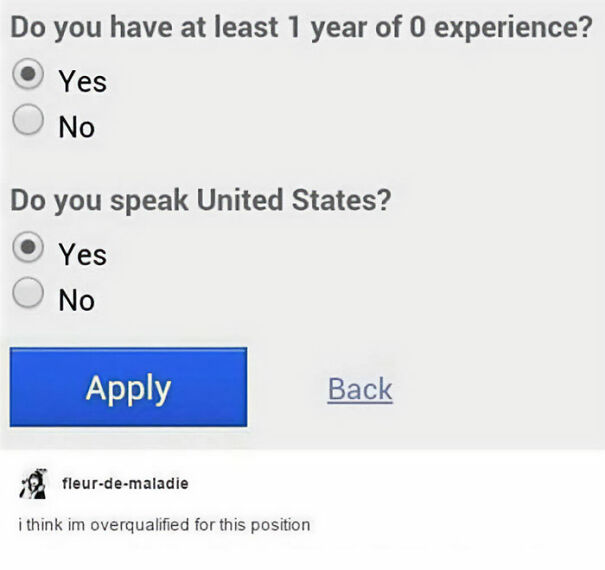 Screenshot of a humorous job application form showing funny English usage and baffling translation errors.