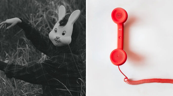 Person wearing a bunny mask in a field next to a red retro phone handset representing a truth or dare poll concept.