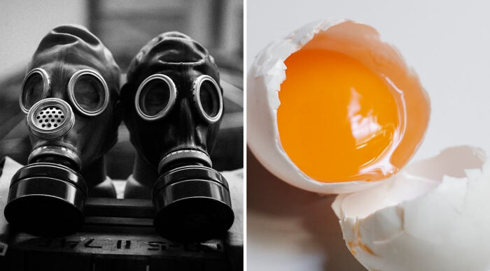 Two black gas masks on a surface next to a c*****d egg with a bright orange yolk in the truth or dare poll image.