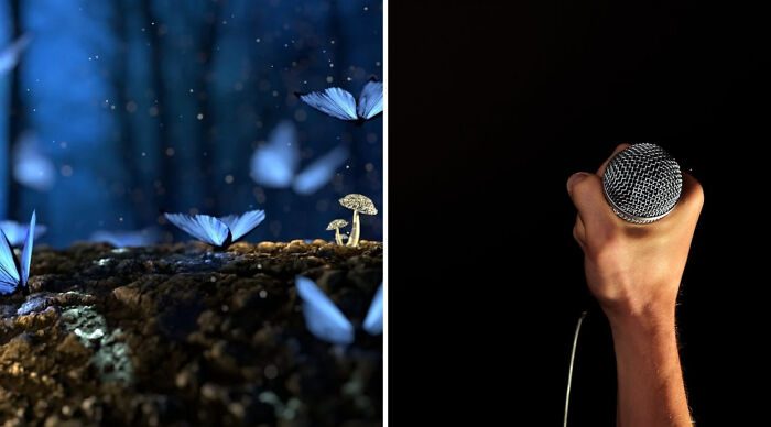 Blue butterflies flying over forest floor at night beside a hand holding microphone for truth or dare poll event.