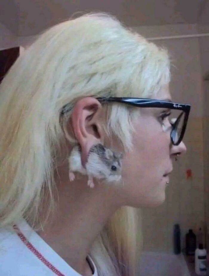 Woman with blonde hair and glasses wearing a small hamster as an unusual animal accessory near her ear.