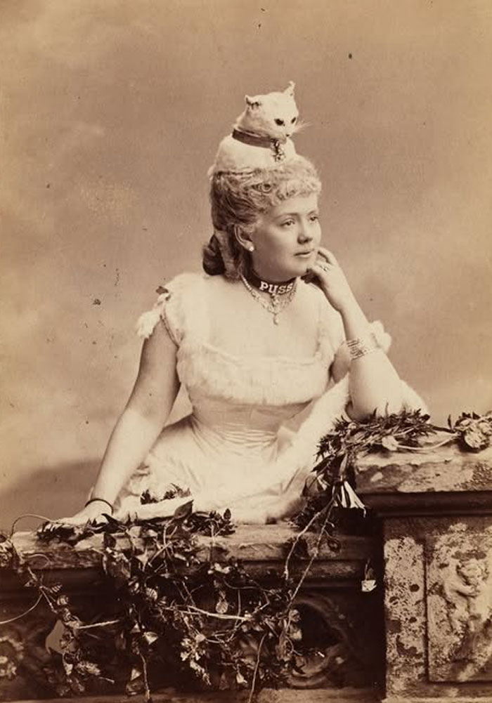 Rare historical photo of a Victorian woman with a cat perched on her head, showcasing unique fashion and unusual pet display.