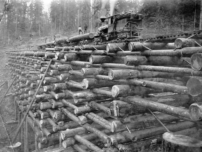 Rare historical photo of a large timber log structure with workers and a steam-powered machine in a forest.