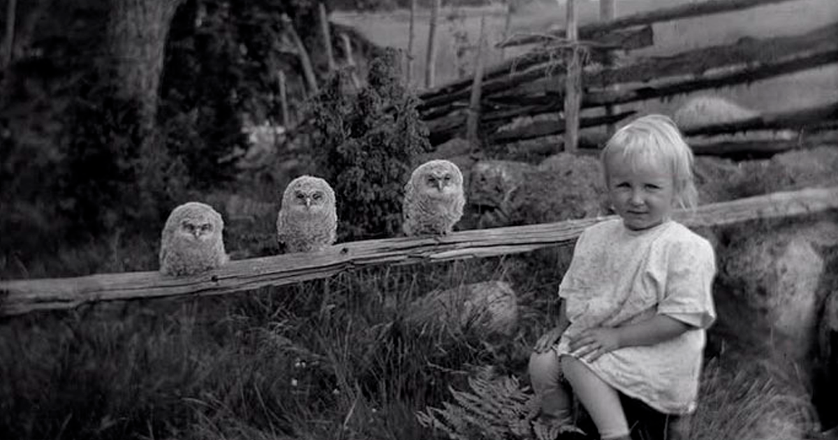 35 Curiosas fotos históricas de esta página dedicada al pasado «inédito»