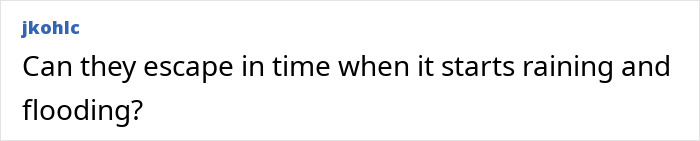 "Avoid Pennywise": She Was Dubbed &lsquo;Mole Woman,&rsquo; Now Her Story Is Forcing People to Pay Attention