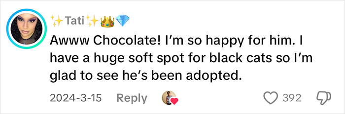 User comment expressing happiness about a vocal cat quickly adopted, showing a soft spot for black cats. User comment expressing happiness about a vocal cat quickly adopted, showing a soft spot for black cats.