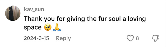 Comment expressing gratitude for providing a loving space to a vocal cat that gets quickly adopted. Comment expressing gratitude for providing a loving space to a vocal cat that gets quickly adopted.