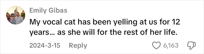 Comment by Emily Gibas sharing about her vocal cat yelling for 12 years, illustrating a vocal cat story. Comment by Emily Gibas sharing about her vocal cat yelling for 12 years, illustrating a vocal cat story.