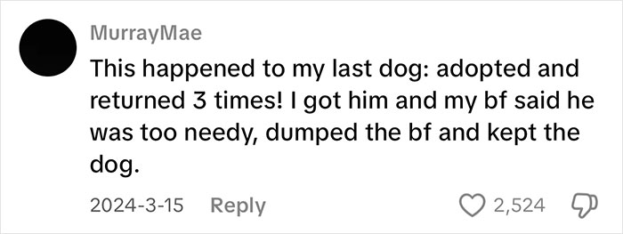 Comment about a needy dog adopted and returned multiple times, related to vocal cat gets quickly adopted topic. Comment about a needy dog adopted and returned multiple times, related to vocal cat gets quickly adopted topic.
