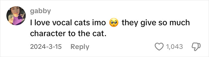User comment praising vocal cats for giving character, related to vocal cat gets quickly adopted. User comment praising vocal cats for giving character, related to vocal cat gets quickly adopted.