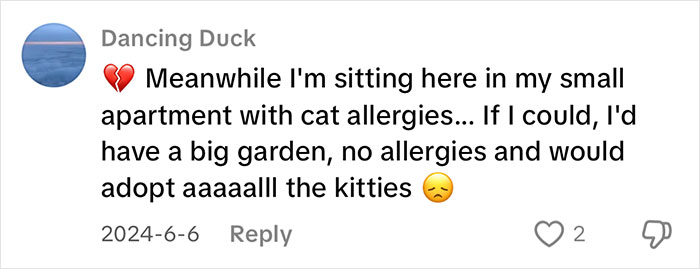 Comment about wishing for a garden and no allergies to adopt cats, expressing feelings about vocal cat adoption. Comment about wishing for a garden and no allergies to adopt cats, expressing feelings about vocal cat adoption.