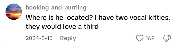 Comment asking about the location of a vocal cat, mentioning owning two vocal kitties and wanting a third. Comment asking about the location of a vocal cat, mentioning owning two vocal kitties and wanting a third.