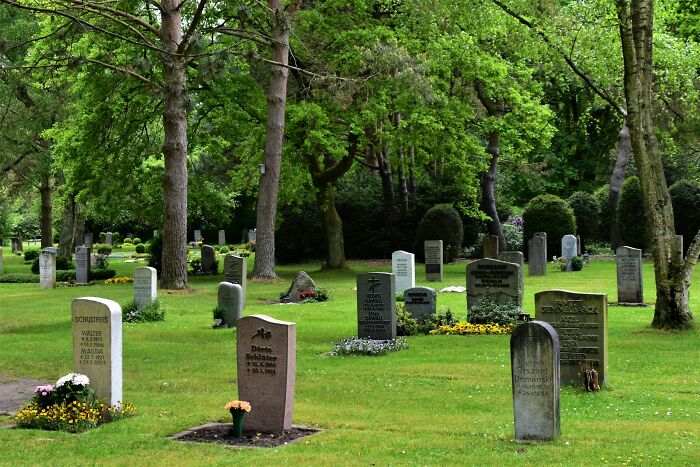 Gravestones in a peaceful cemetery surrounded by green trees symbolizing industries that took a huge hit because of millennials.