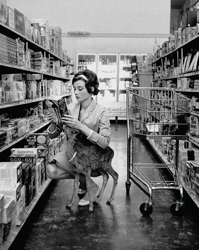 Woman reading a box in a grocery store aisle with a deer, illustrating weird things about history and unusual scenes.