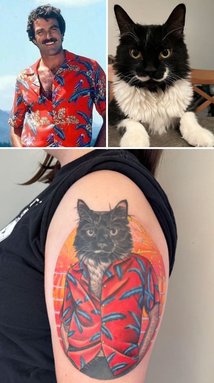 Tattoo expectations vs reality showing a cat portrait tattoo wearing a red Hawaiian shirt on a person's upper arm.